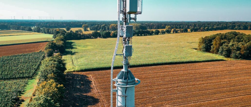 pexels buxteh 28552806