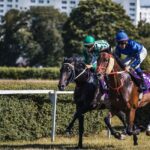 turflon werl - Two jockeys race fiercely in a horse racing event on a sunny day.