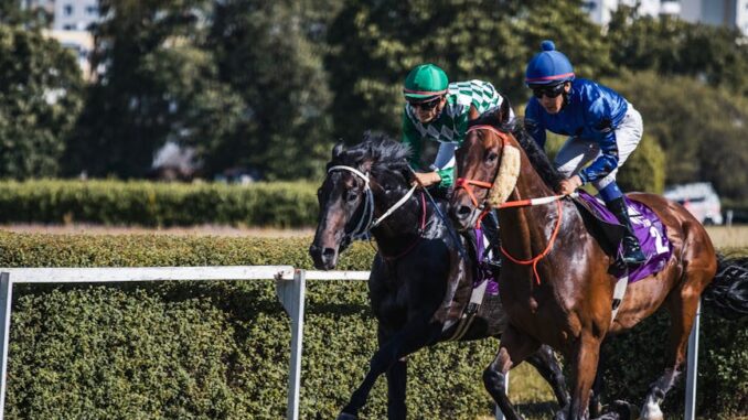 turflon werl - Two jockeys race fiercely in a horse racing event on a sunny day.