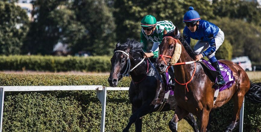turflon werl - Two jockeys race fiercely in a horse racing event on a sunny day.